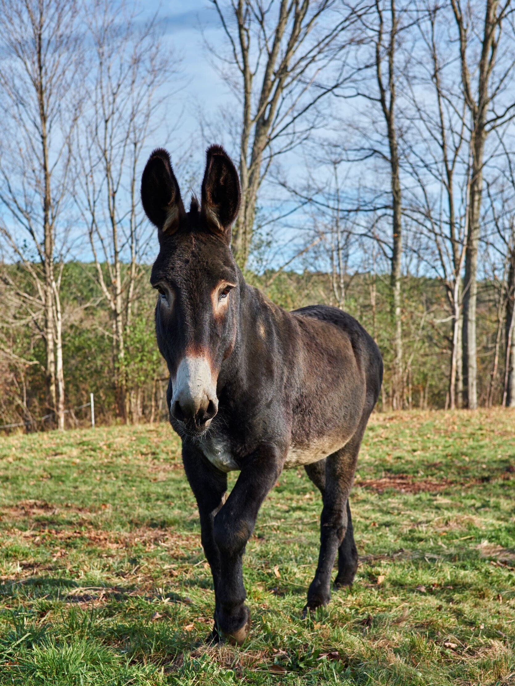 Invest in Your Soil — Vermont Compost Company